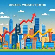 Organic Traffic Organic Traffic