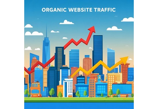 Organic Traffic 