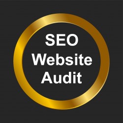 SEO Website Audit from £22.95
